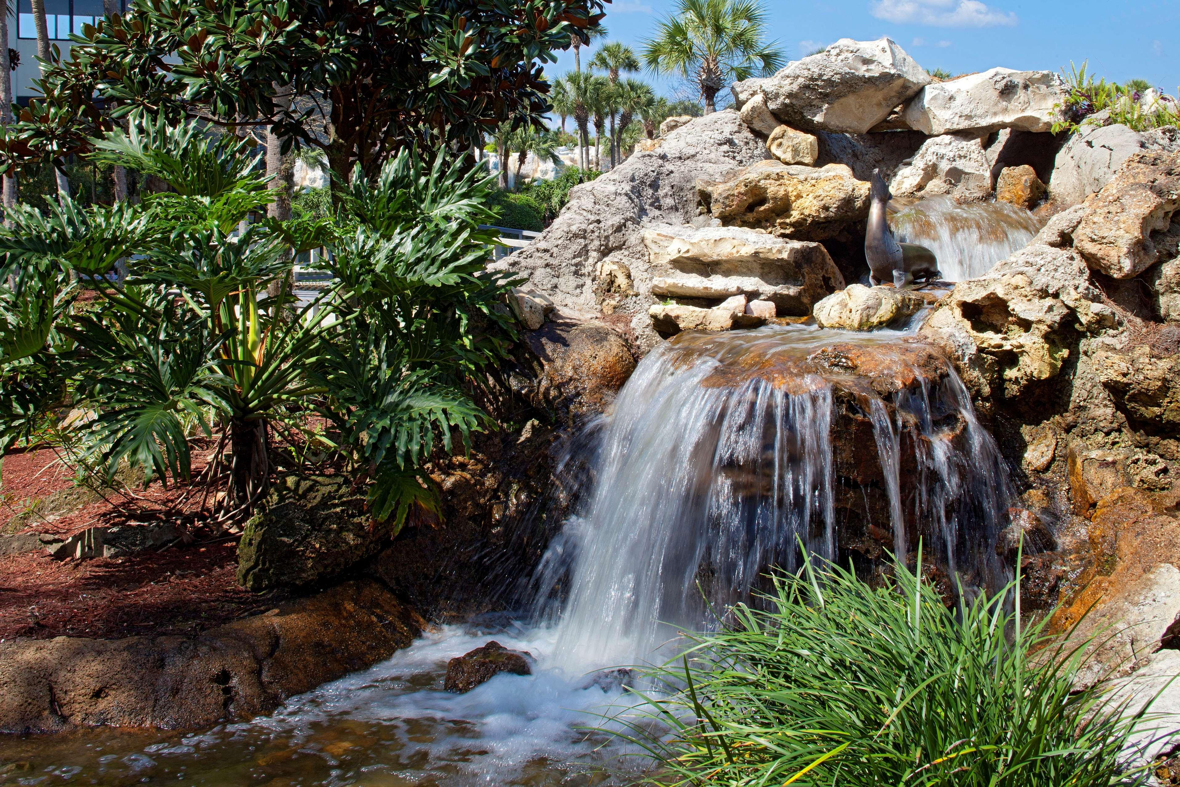 Hyatt Regency Grand Cypress Resort Lake Buena Vista Exterior photo